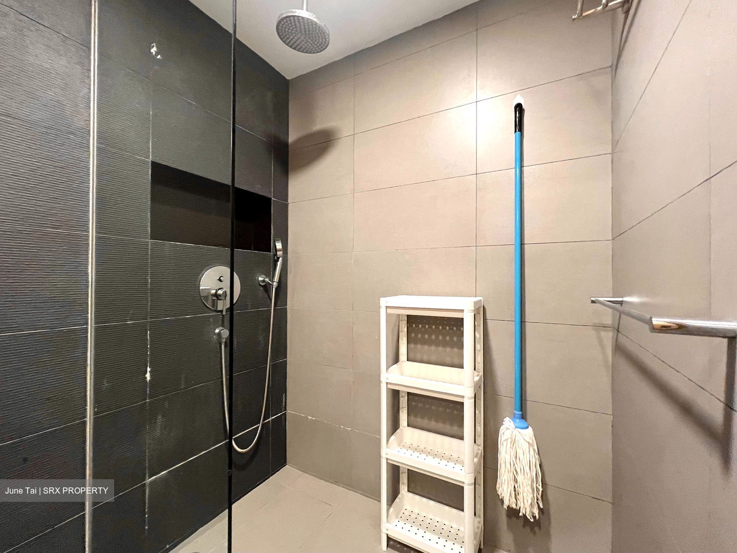 International Plaza (D2), Apartment #529903581